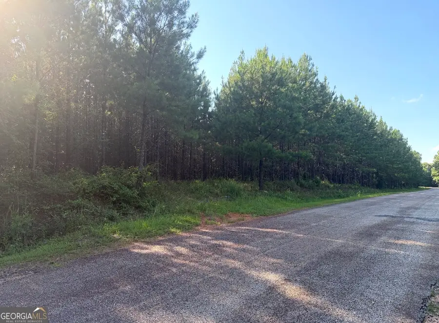 78 Aubrey Mays Road, Forsyth, GA 31029 - #2
