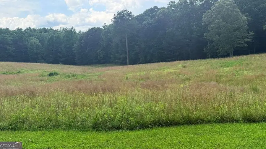 LT 6 Spring Camp Road, Ellijay, GA 30536 - #3