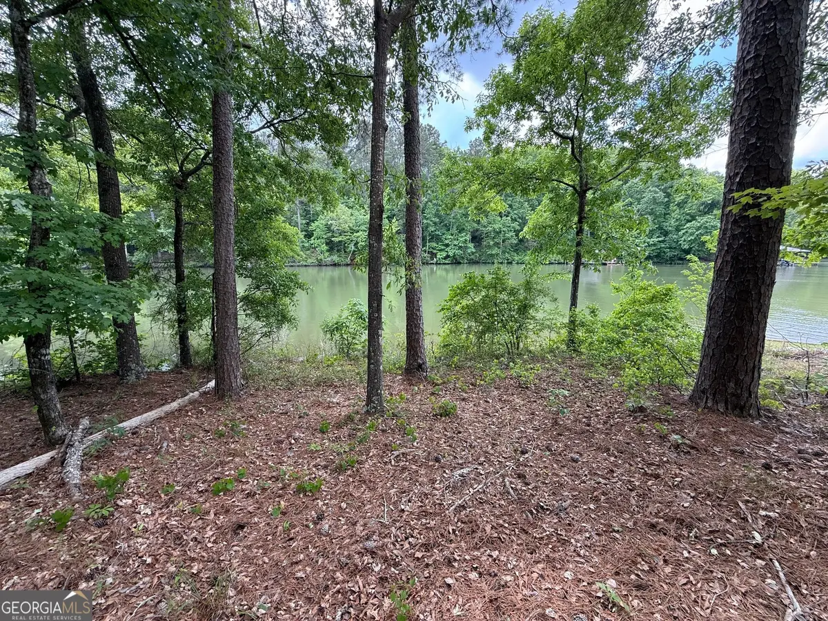 0 Hickory Pass, Sparta, GA 31087 - #1