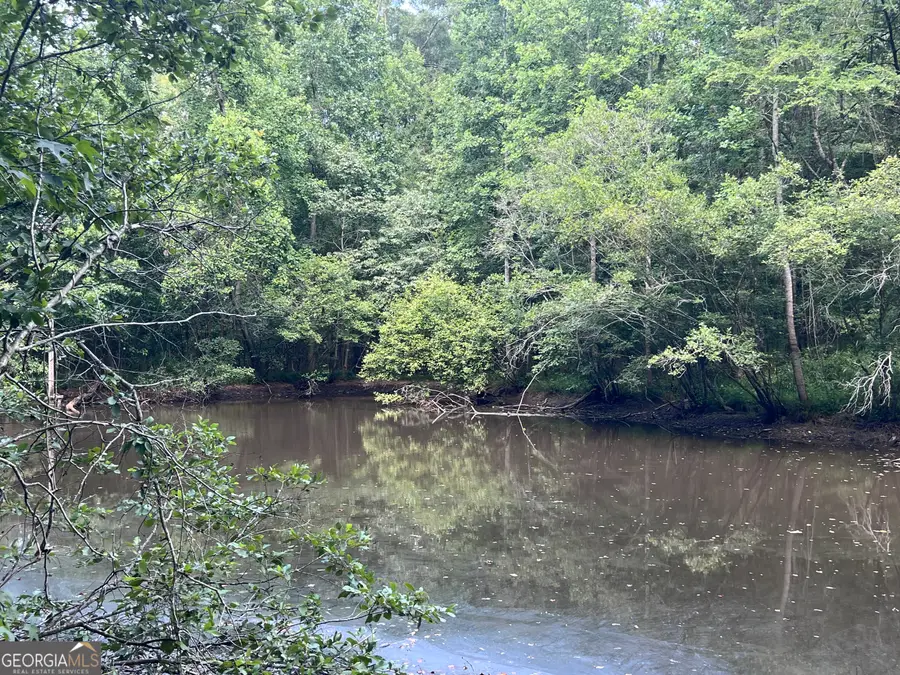 125 Sinclair Marina Road Ne, Milledgeville, GA 31061 - #3