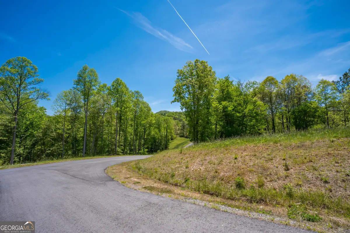 LOT 4-4A Waterstone Way, Mineral Bluff, GA 30559 - #1