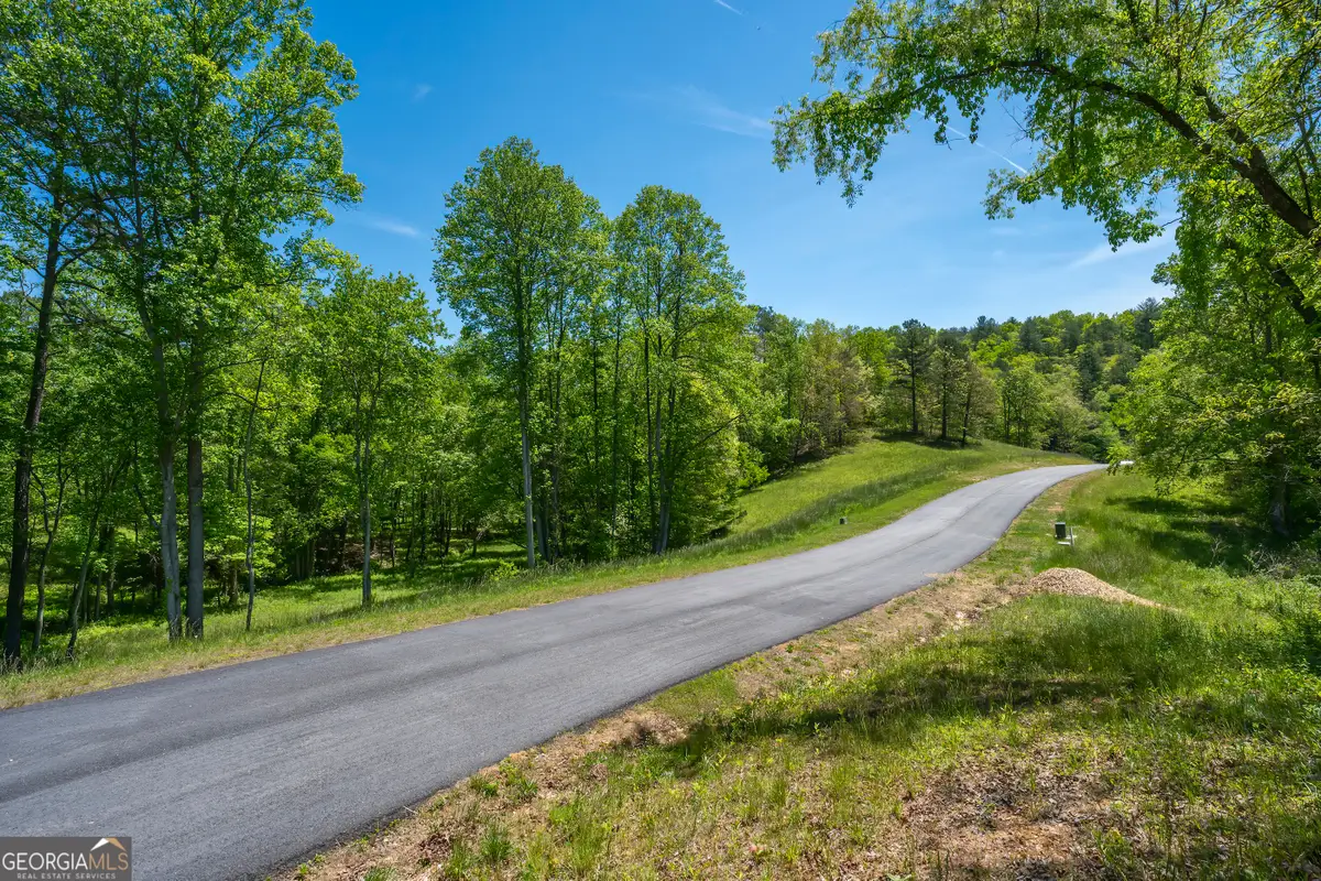 LOT 5-5A Jonica Gap Road, Mineral Bluff, GA 30559 - #1