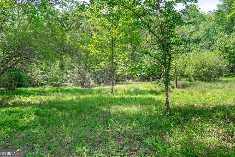 LOT 5-5A Jonica Gap Road, Mineral Bluff, GA 30559 - #3