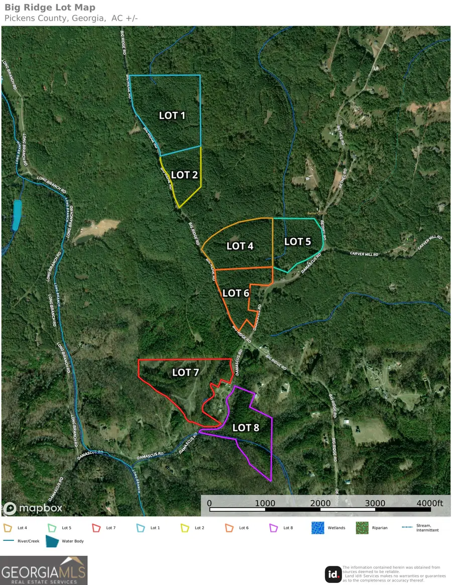 16 ACRES Bethel Road, Ranger, GA 30734 - #2