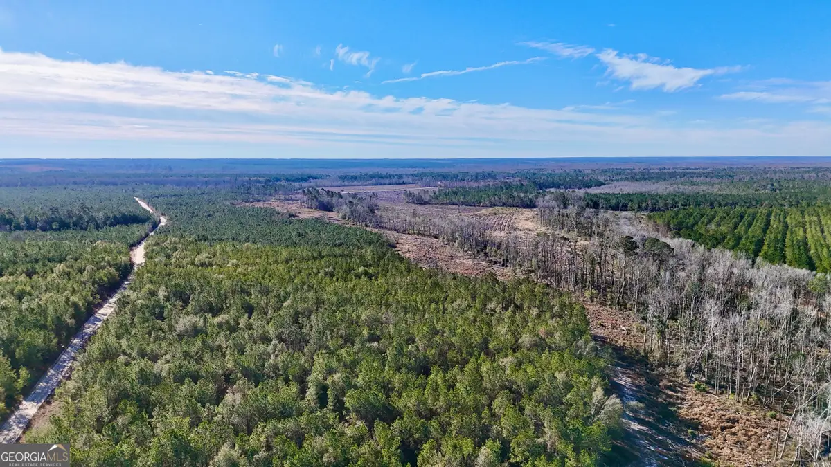0 Tillman Cemetery Road, Lumber City, GA 31549 - #1