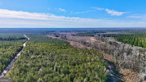 0 Tillman Cemetery Road, Lumber City, GA 31549