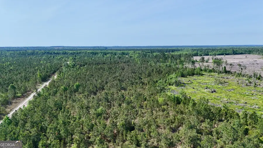 0 Tillman Cemetery Road, Lumber City, GA 31549 - #3