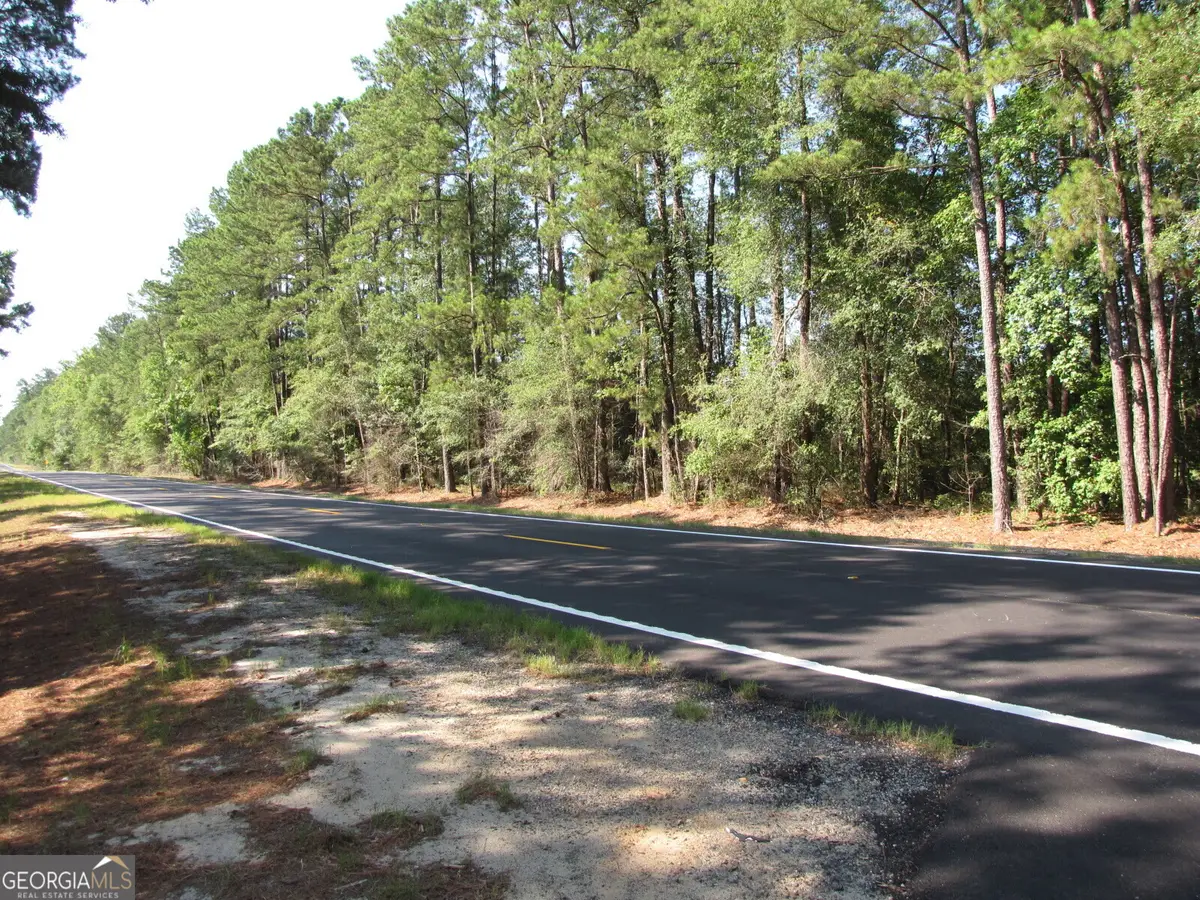 0 Hwy 17, Newington, GA 30446 - #1