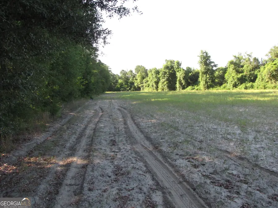 0 Hwy 17, Newington, GA 30446 - #2
