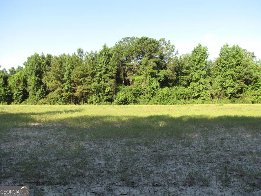 0 Hwy 17, Newington, GA 30446 - #3