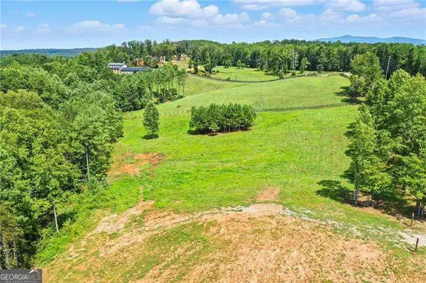 3511 Reavis Mountain #2 Road, Ball Ground, GA 30107