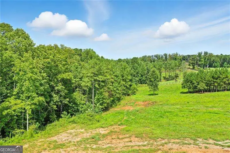 3511 Reavis Mountain #2 Road, Ball Ground, GA 30107 - #2