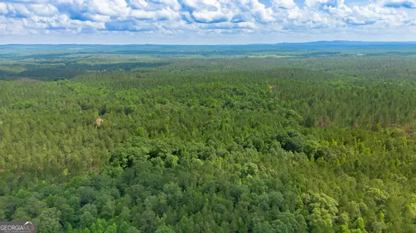 0 Vinyard Lot 3, Fruithurst, AL 36262