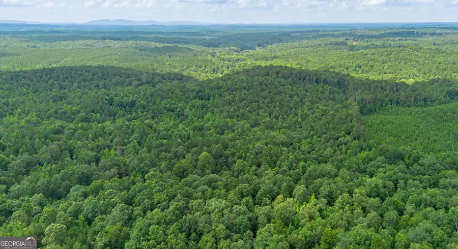 0 Vinyard Lot 3, Fruithurst, AL 36262 - #3