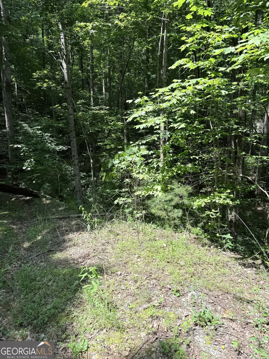 LOT 856 Larkspur Lane, Clayton, GA 30525 - #3