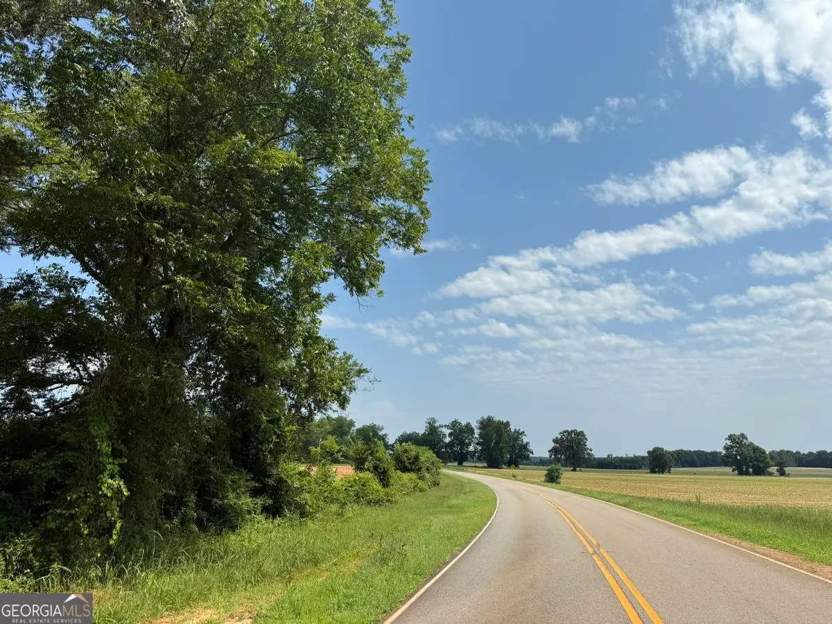 001A Barge Rd, Lumpkin, GA 31815 - #1