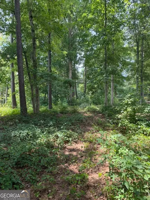7117 High Lake Ter, Covington, GA 30014 - #3