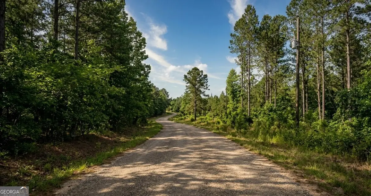 0 Sandcut Road #LOT 1, Nauvoo, AL 35578 - #1