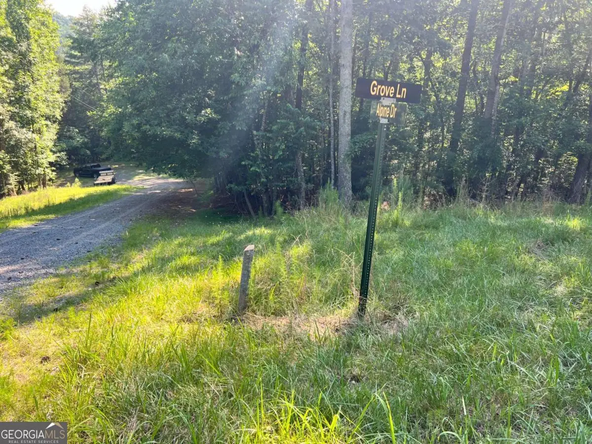 00 Alpine 3625 Drive, Ellijay, GA 30540 - #1