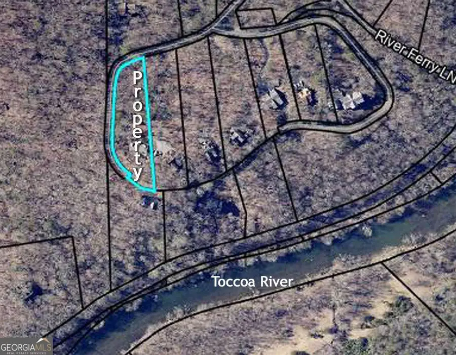 605 Toccoa Preserve Lane, Blue Ridge, GA 30513 - #3