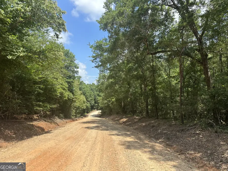 2200 Duffell Martin, Comer, GA 30629 - #3