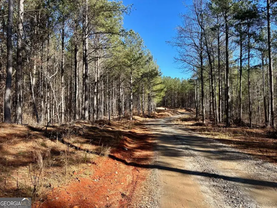 1107 Larmon Forks Road, Dahlonega, GA 30533 - #3
