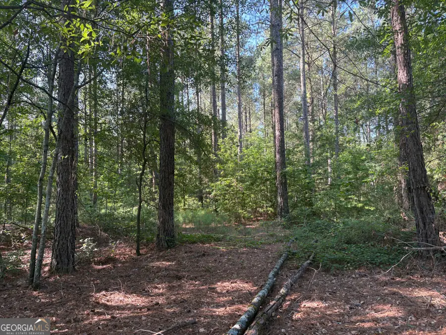 41 Elton Stewart Road, Carlton, GA 30627 - #2