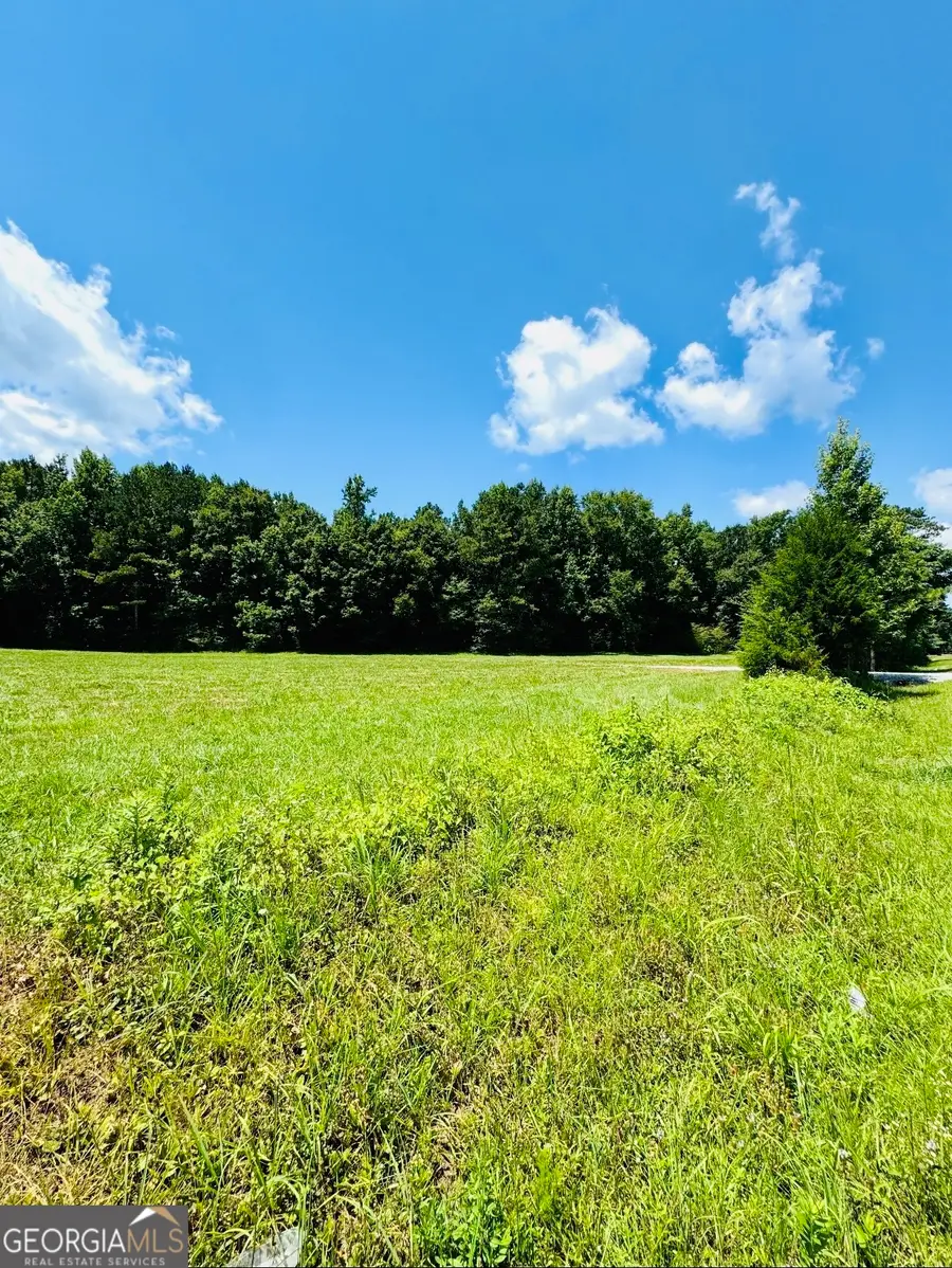0 Willowood Road, Lagrange, GA 30241 - #3