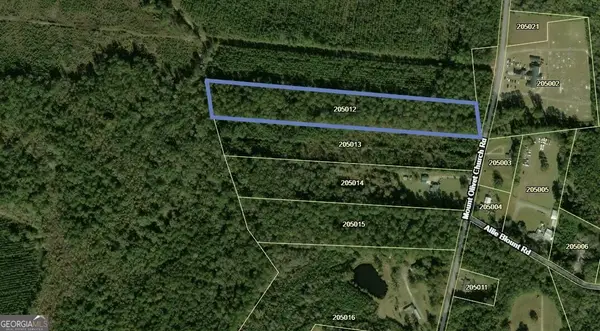 7.75 AC Mount Olivet Church Road, Fleming, GA 31309