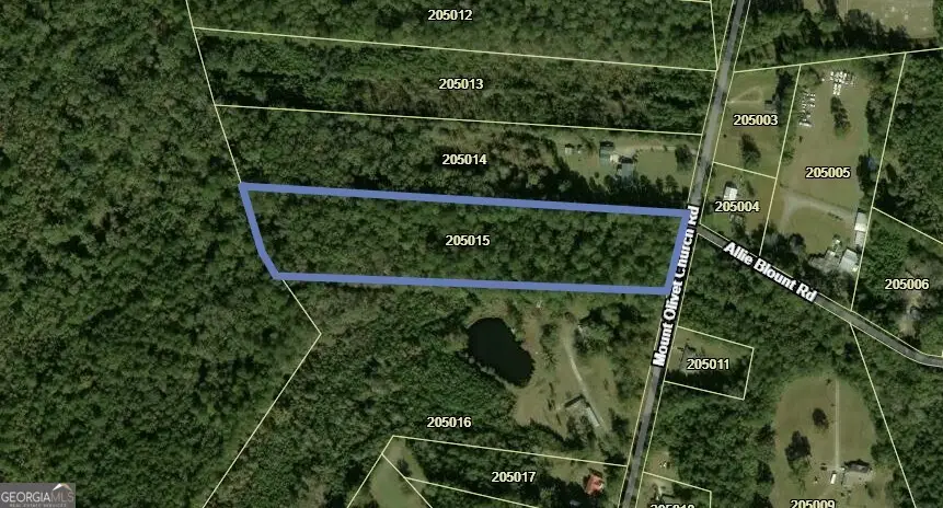 7.61 Mount Olivet Church Road, Fleming, GA 31309 - #1