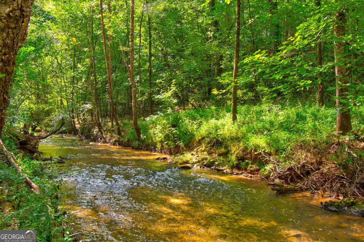 0 S Hills Mill Road, Cornelia, GA 30531 - #1