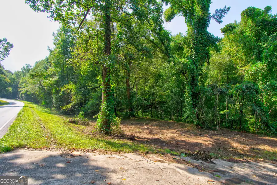 0 S Hills Mill Road, Cornelia, GA 30531 - #2