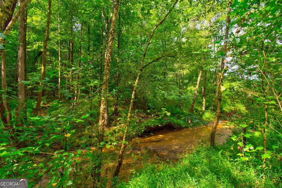 0 S Hills Mill Road, Cornelia, GA 30531 - #3