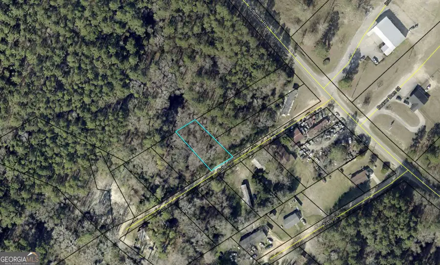 0 Cutter Lane, Sylvania, GA 30467 - #2