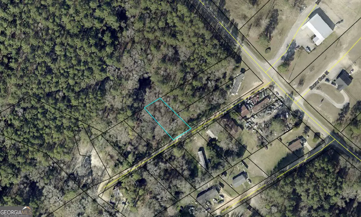 0 Berry Street, Sylvania, GA 30467 - #1