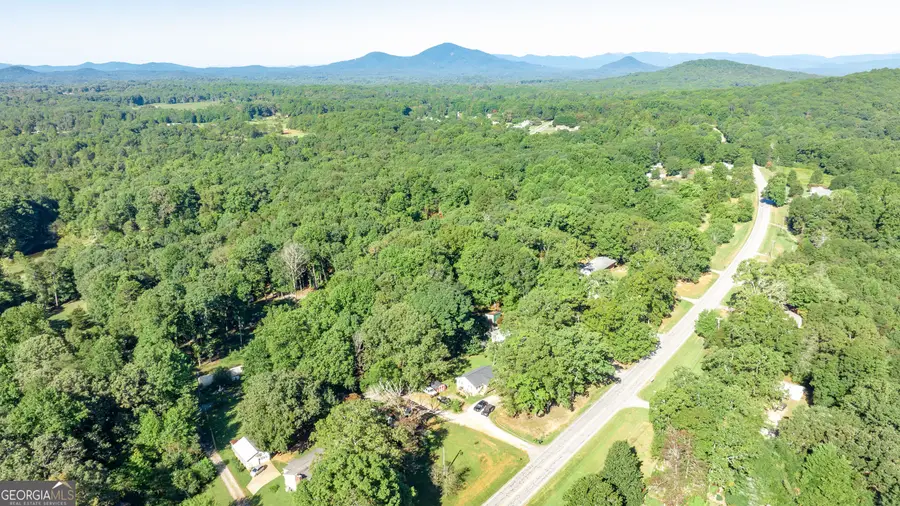 1774 Highway 17, Clarkesville, GA 30523 - #3