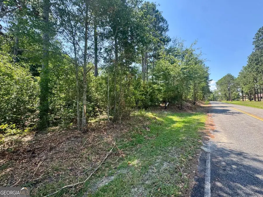 TRACT 1 Whiddon Milll Road, Poulan, GA 31781 - #2