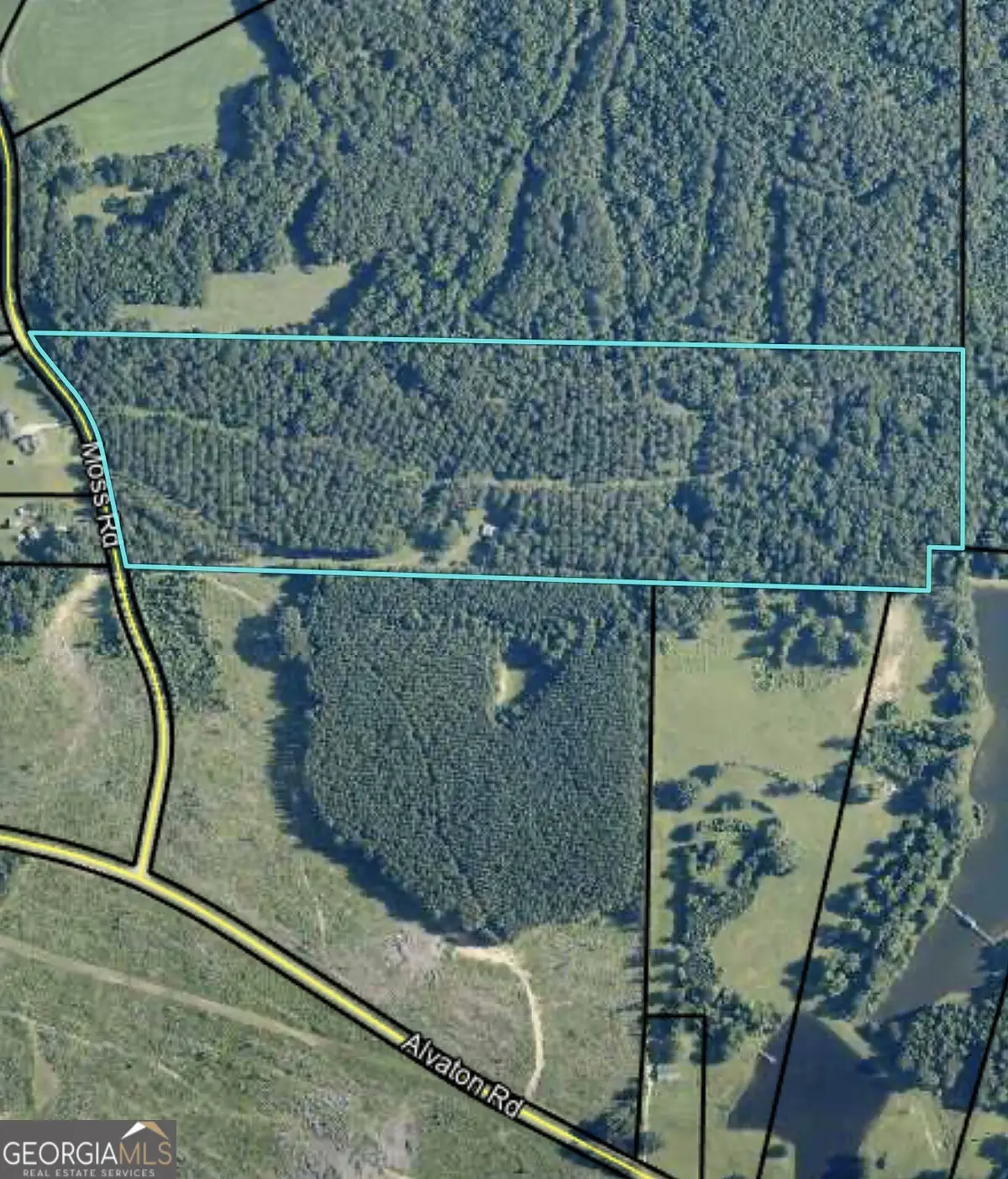 2135 Moss Road, Gay, GA 30218 - #1