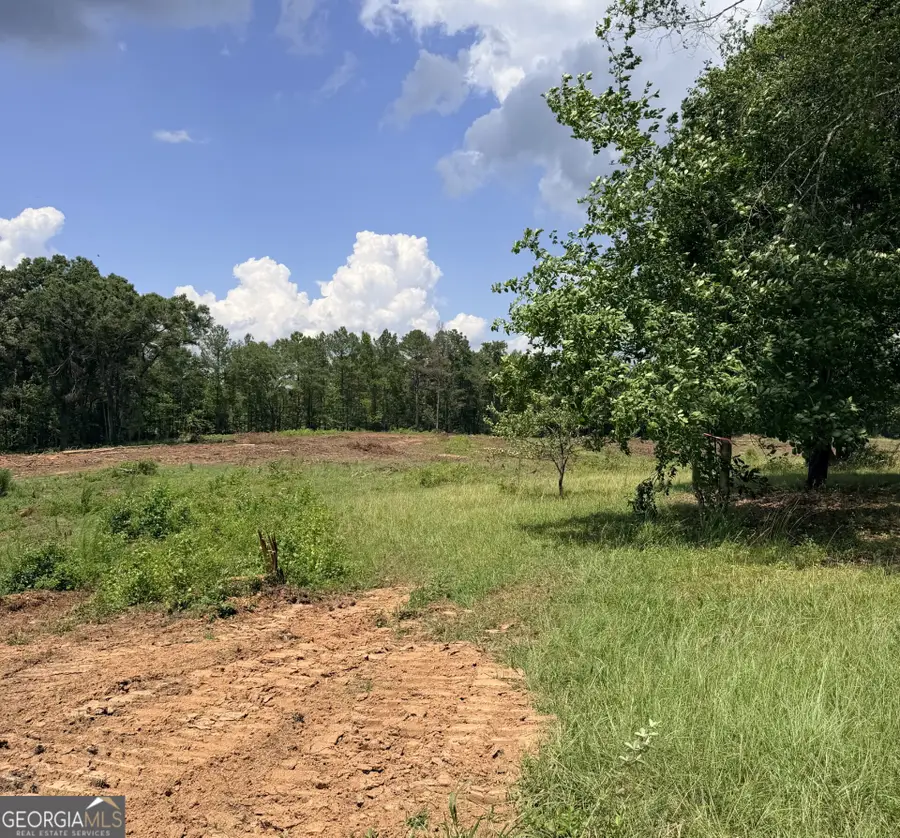 2135 Moss Road, Gay, GA 30218 - #3