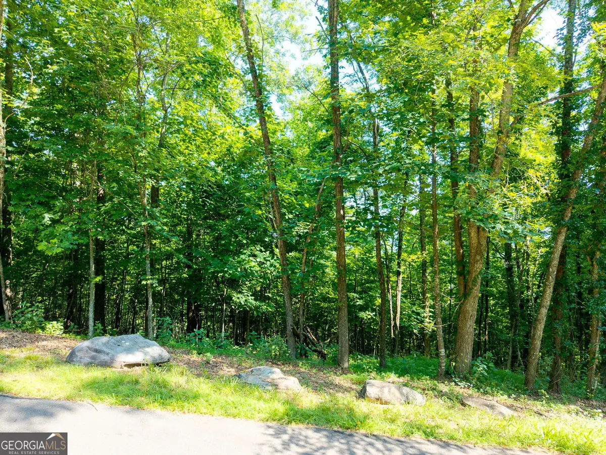 46 Buck Ridge, Murphy, NC 28906 - #1