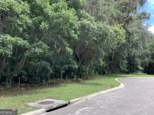 0 Lanyard Court, Saint Marys, GA 31558 - #2
