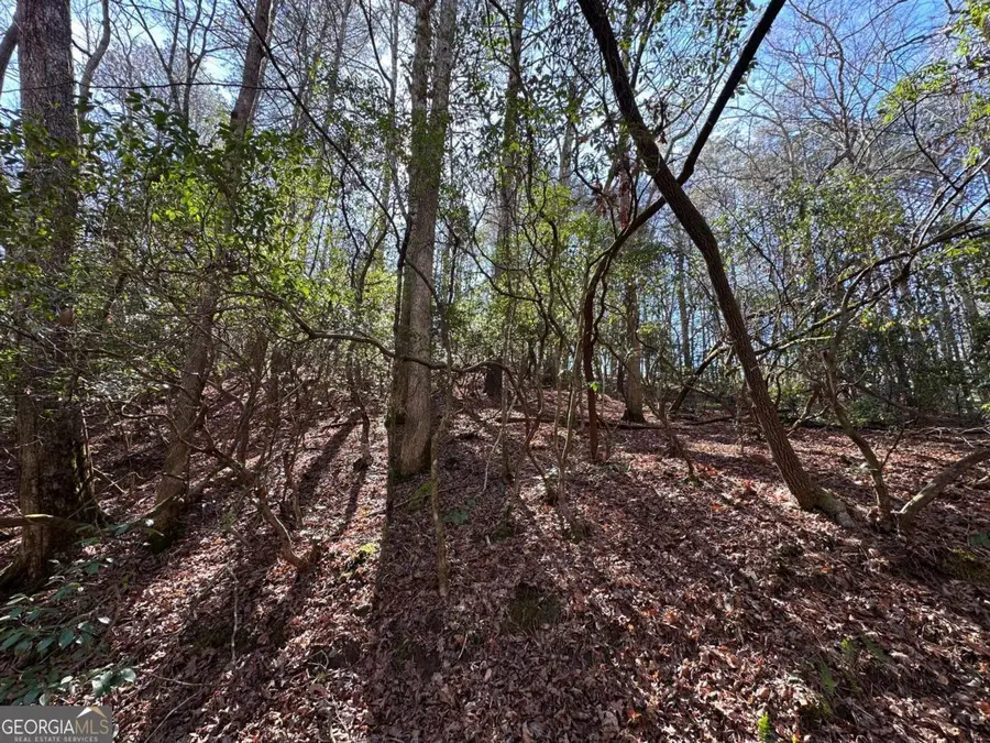 59R Coffee Mill Run, Talking Rock, GA 30175 - #2