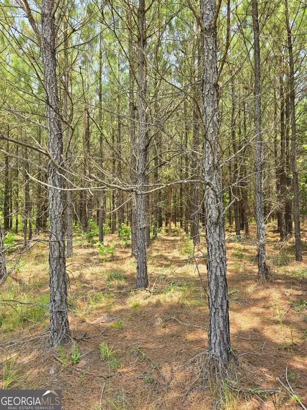 TBD Ga Hwy 56 N, Waynesboro, GA 30830
