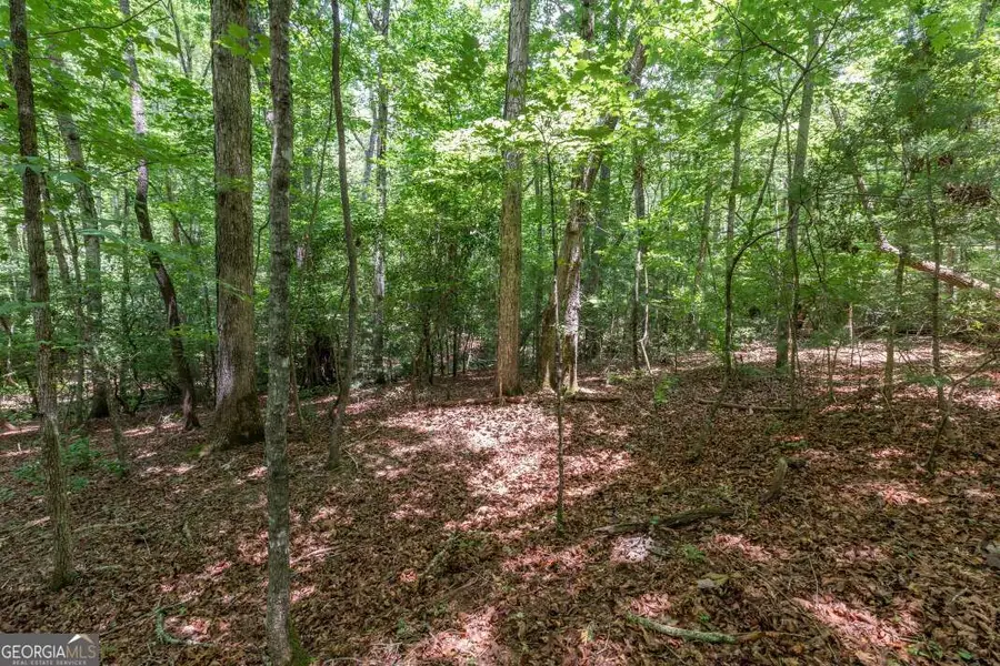 6 AC Solar Drive, Blue Ridge, GA 30513 - #3