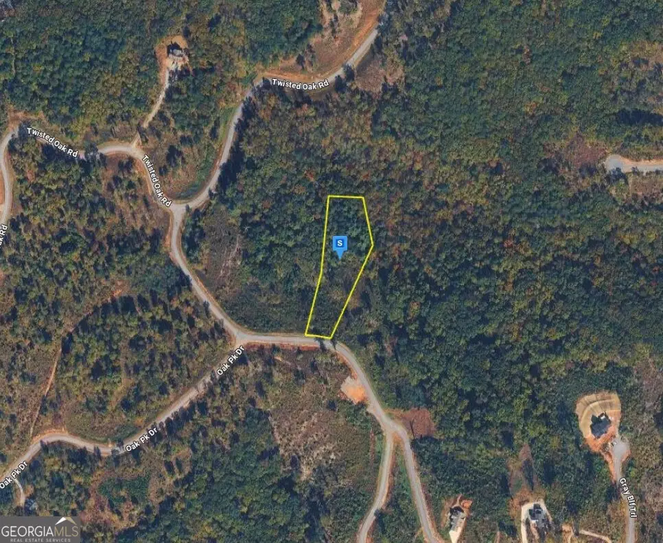 111 Highgrove Drive, Talking Rock, GA 30175 - #1