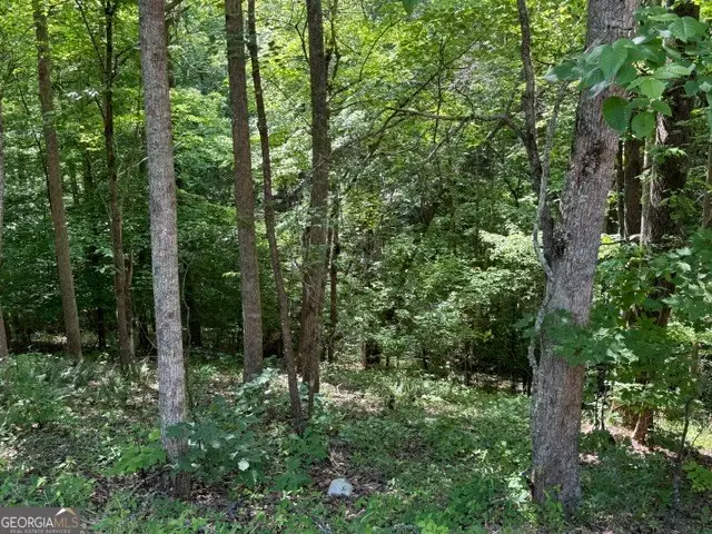 4.6 AC Cherry Grove, Ball Ground, GA 30107 - #2