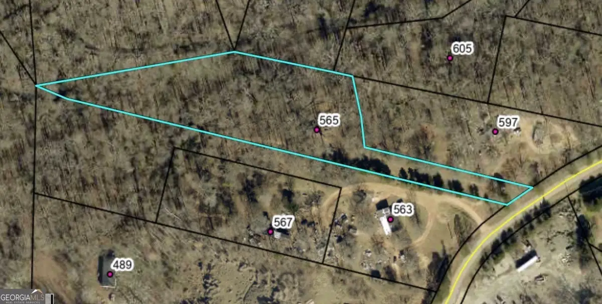 565 Skelton Road, Hoschton, GA 30548 - #1