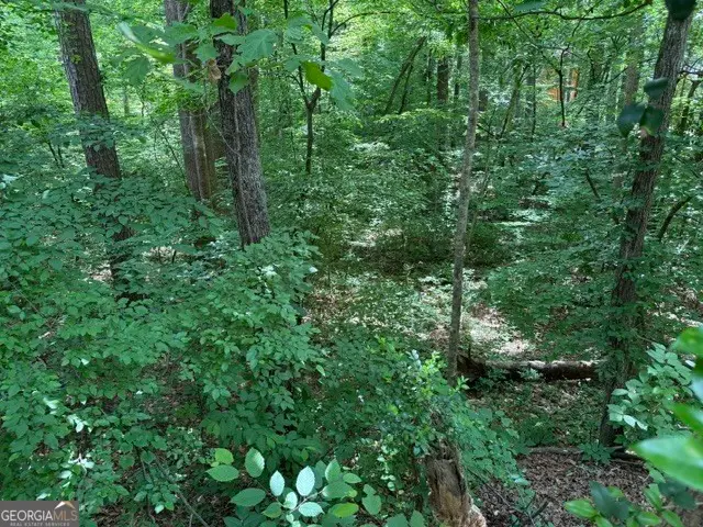 LOT 10 Brookhollow Drive, Canton, GA 30114 - #2