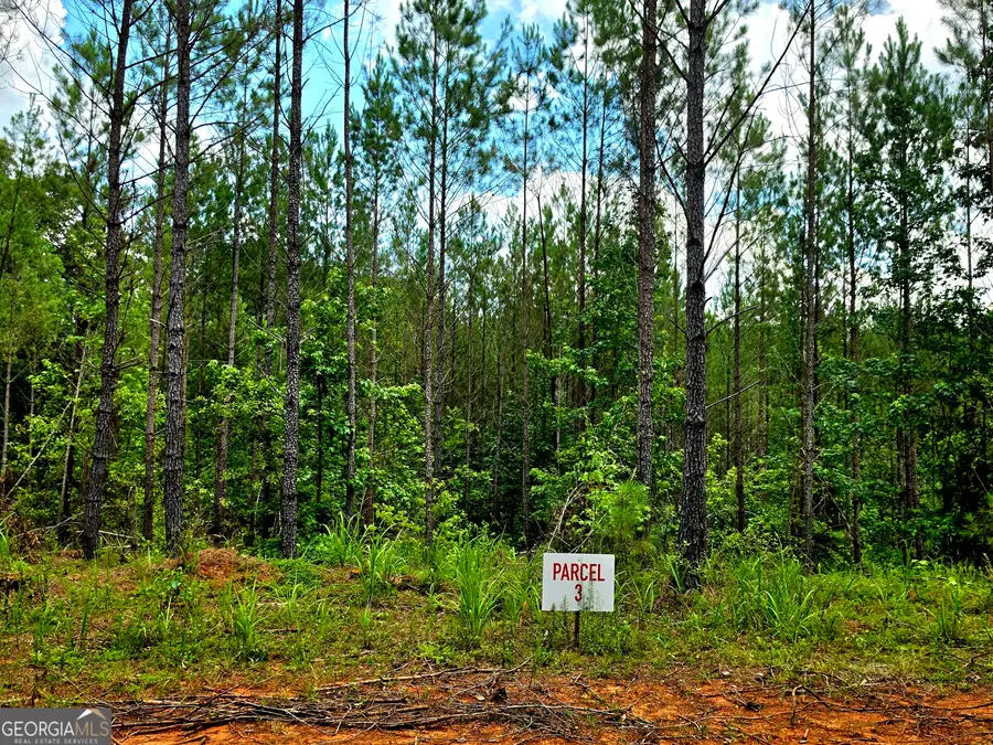 0 Highway 42 S #LOT 4, Forsyth, GA 31029 - #3