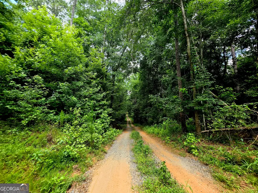 0 Highway 42 S #LOT 8, Forsyth, GA 31029 - #2